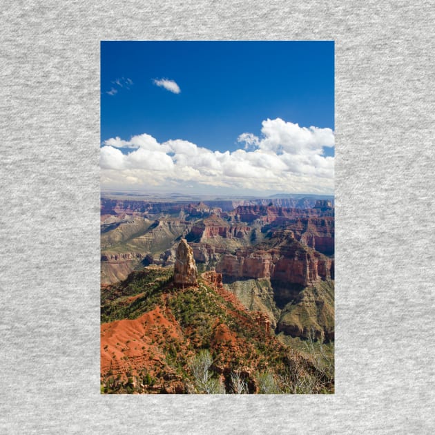 The Point Imperial Vista, Grand Canyon by BrianPShaw